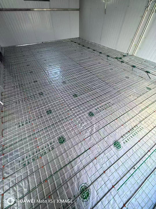 ���ȵ���